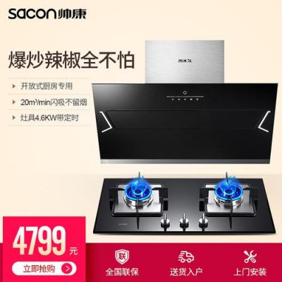 帅康和华帝哪个好?珠海帅康电器怎么样-图2 帅康和华帝哪个好?珠海帅康电器怎么样-图2