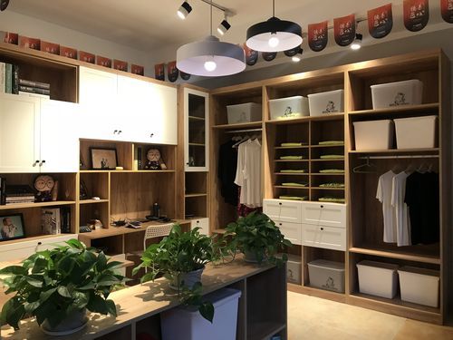 丽维佳属于几线品牌？丽维家定制家具-图2