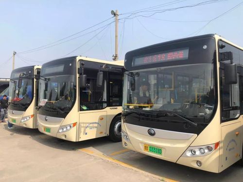 胶州市207路公交车都有哪些车站?大连华峰家具-图1 胶州市207路公交车都有哪些车站?大连华峰家具-图1