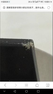 白色的小虫子密密麻麻的?河北康氏家具-图1 白色的小虫子密密麻麻的?河北康氏家具-图1
