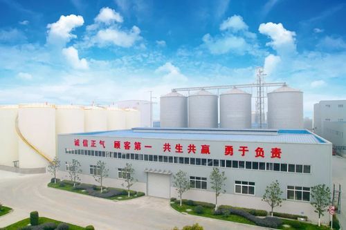 青白江十大企业排名?青白江顶固上班怎么样-图1 青白江十大企业排名?青白江顶固上班怎么样-图1