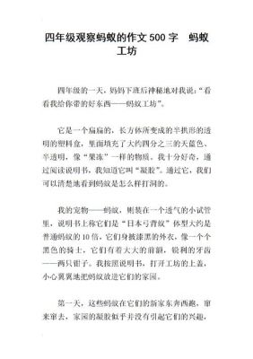 观察蚂蚁工坊的蚂蚁一段话？自在工坊家具
