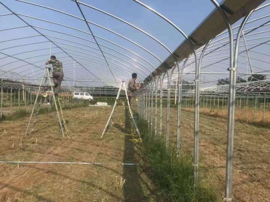 简易连体大棚搭建方法？自己做大棚采光板怎么铺