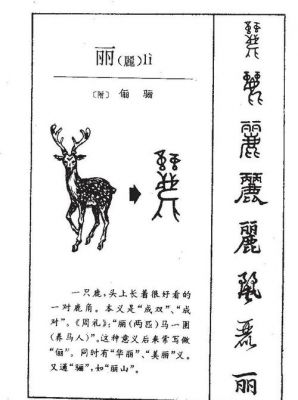 丽的组词有哪些词语?丽美丽家家具-图2 丽的组词有哪些词语?丽美丽家家具-图2