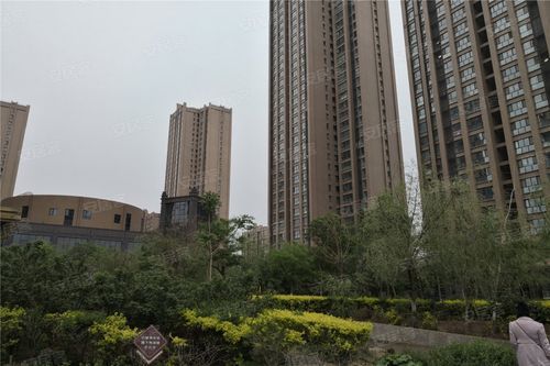 武威十大高档小区？沈阳天一豪庭怎么样