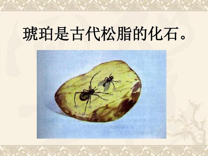 什么叫松脂蜡和纸灰?防腐木有松脂怎么办-图2 什么叫松脂蜡和纸灰?防腐木有松脂怎么办-图2