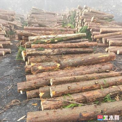 请问在四川、眉山。现在的杉木(杉木有柳杉和家杉)还有杂木。分别的的收购价是多少钱一立方。谢谢?四川杂木怎么收购价-图2 请问在四川、眉山。现在的杉木(杉木有柳杉和家杉)还有杂木。分别的的收购价是多少钱一立方。谢谢?四川杂木怎么收购价-图2