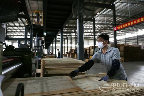 保定安冀安全评价有限公司怎么样？正高木业有限公司怎么样