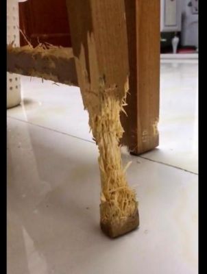 我家的餐桌,椅子被狗啃了,请问在上海哪里可以找到师傅来修理啊?家具宠物咬坏修补-图2 我家的餐桌,椅子被狗啃了,请问在上海哪里可以找到师傅来修理啊?家具宠物咬坏修补-图2