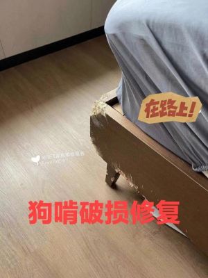 猫咪把家具咬坏了怎么办?家具宠物咬坏修补-图2 猫咪把家具咬坏了怎么办?家具宠物咬坏修补-图2