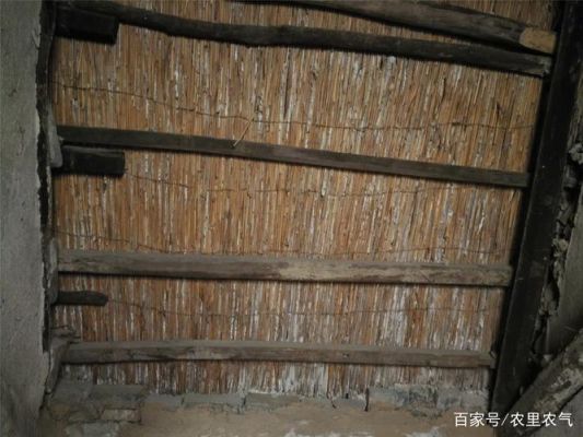 农村房屋檩条生虫怎样处理?松木檩条上的琢虫怎么治-图1 农村房屋檩条生虫怎样处理?松木檩条上的琢虫怎么治-图1