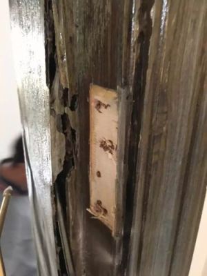卫生间门框有虫子吃门框怎么办?实木门框被虫蛀怎么办-图2 卫生间门框有虫子吃门框怎么办?实木门框被虫蛀怎么办-图2