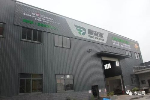 鹏森缘板材是一线品牌吗?鹏森建材有限公司怎么样-图2 鹏森缘板材是一线品牌吗?鹏森建材有限公司怎么样-图2