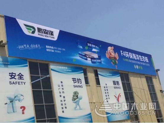 鹏森缘板材是一线品牌吗？鹏森建材有限公司怎么样