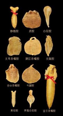鱼胶可以保存多长时间?实木家具干度-图1 鱼胶可以保存多长时间?实木家具干度-图1