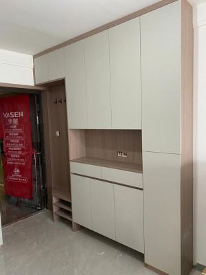 650元一平的欧松板靠谱吗？三水维柏诗衣柜怎么样