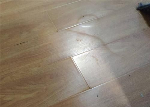 复合地板泡水后起鼓怎么办啊?地板胶铺上去鼓包怎么办-图3 复合地板泡水后起鼓怎么办啊?地板胶铺上去鼓包怎么办-图3