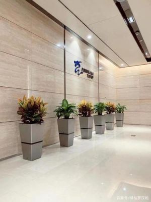 厂门口放置什么植物？家具厂门口
