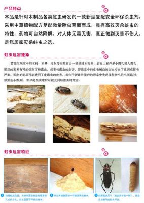 家里的木制家私有蛀木虫怎么办?家具蛀木虫怎么产生的-图1 家里的木制家私有蛀木虫怎么办?家具蛀木虫怎么产生的-图1