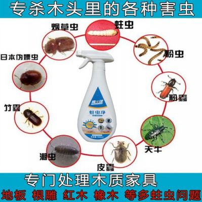 家里的木制家私有蛀木虫怎么办?家具蛀木虫怎么产生的-图2 家里的木制家私有蛀木虫怎么办?家具蛀木虫怎么产生的-图2