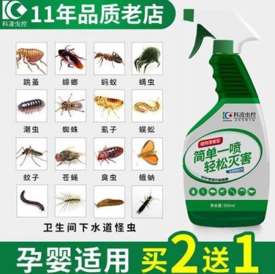 家里的木制家私有蛀木虫怎么办?家具蛀木虫怎么产生的-图3 家里的木制家私有蛀木虫怎么办?家具蛀木虫怎么产生的-图3