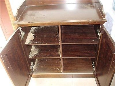 家具生蚂蚁怎么办？家具蚂蚁