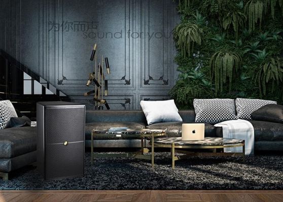 soundpower是什么牌子音响？东莞声威家具