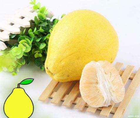 想问问容县的特产是什么?柚皇家具-图1 想问问容县的特产是什么?柚皇家具-图1