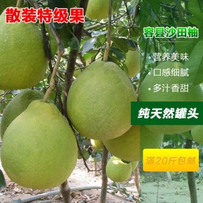 想问问容县的特产是什么?柚皇家具-图2 想问问容县的特产是什么?柚皇家具-图2
