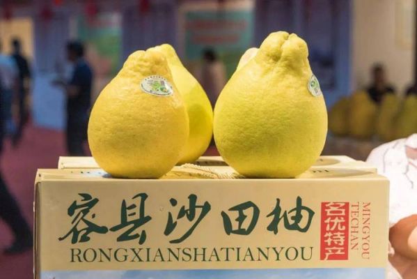 想问问容县的特产是什么?柚皇家具-图3 想问问容县的特产是什么?柚皇家具-图3