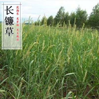 北京最大的康养中心?武汉四季青家具回收-图2 北京最大的康养中心?武汉四季青家具回收-图2
