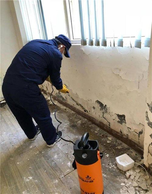 家具白蚁的消灭方法?家具里有白蚁怎么办-图3 家具白蚁的消灭方法?家具里有白蚁怎么办-图3