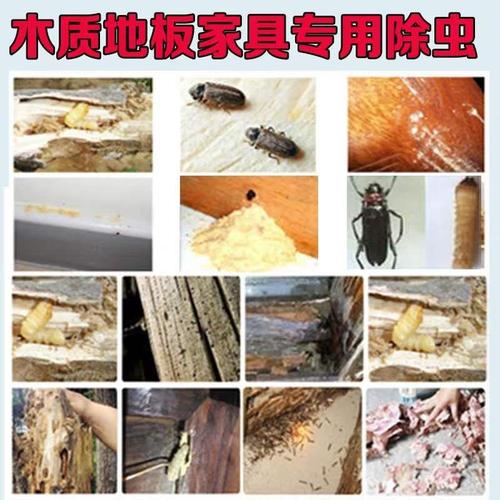 请问家具里面有蛀木虫怎么办?老家具 虫蛀-图3 请问家具里面有蛀木虫怎么办?老家具 虫蛀-图3