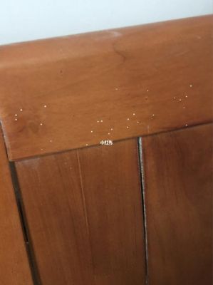 家具里面有蛀虫了怎么办？家具里有洞