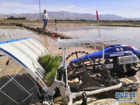 格尔木海水稻项目农业部批了吗？青海四维家具有限公司