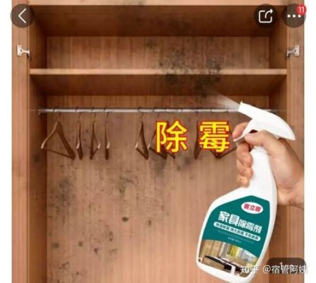 木质发霉怎么洗掉霉斑?家具发霉了怎么办-图2 木质发霉怎么洗掉霉斑?家具发霉了怎么办-图2