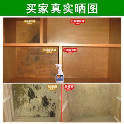 木质发霉怎么洗掉霉斑?家具发霉了怎么办-图1 木质发霉怎么洗掉霉斑?家具发霉了怎么办-图1