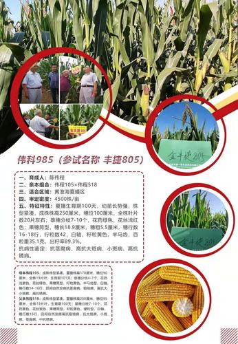 伟科702伟科908哪个好?穗好家具有限公司-图3 伟科702伟科908哪个好?穗好家具有限公司-图3