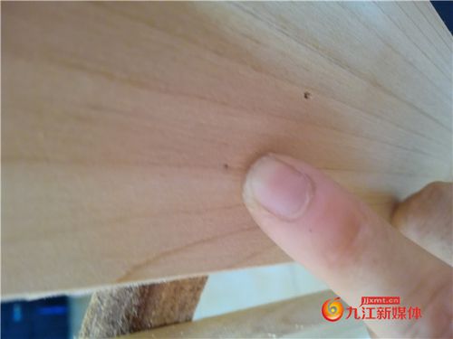 家具里经常出现的虫子?家具生虫子-图2 家具里经常出现的虫子?家具生虫子-图2