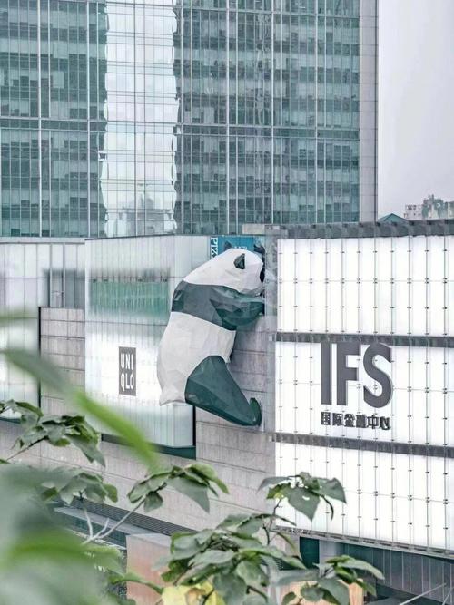 成都礼仪职业学校好不好？成都风向标家具
