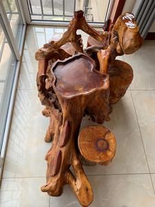 香椿树根适合做根雕吗?树根家具制作-图1 香椿树根适合做根雕吗?树根家具制作-图1