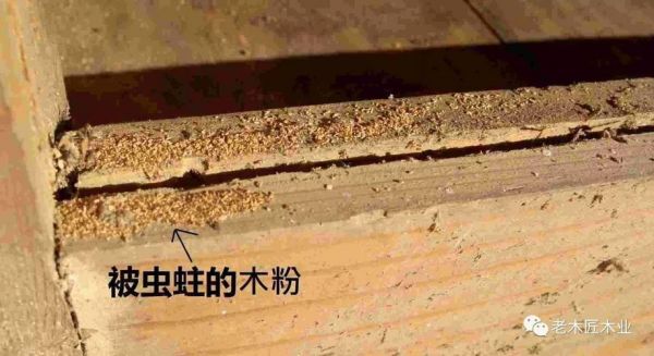 有人能解释一下橡胶木到底是个什么东西吗?橡胶木家具生虫吗-图2 有人能解释一下橡胶木到底是个什么东西吗?橡胶木家具生虫吗-图2