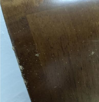 橡胶床垫会长虫吗?橡胶木家具生虫-图2 橡胶床垫会长虫吗?橡胶木家具生虫-图2