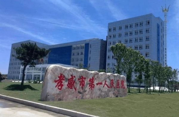 孝感市第一人民医院公交线路?孝感家具厂航空路-图2 孝感市第一人民医院公交线路?孝感家具厂航空路-图2