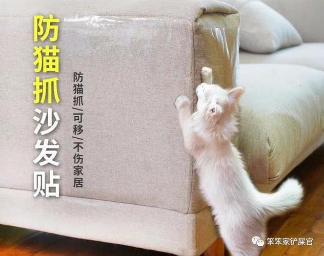 猫挠沙发什么意思?猫咪抓家具-图2 猫挠沙发什么意思?猫咪抓家具-图2