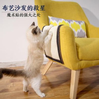 猫抓东西怎么办?猫咪 抓家具-图2 猫抓东西怎么办?猫咪 抓家具-图2
