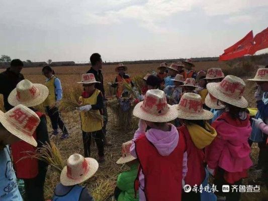 东营市光明电力服务公司官网？东营光明家具店