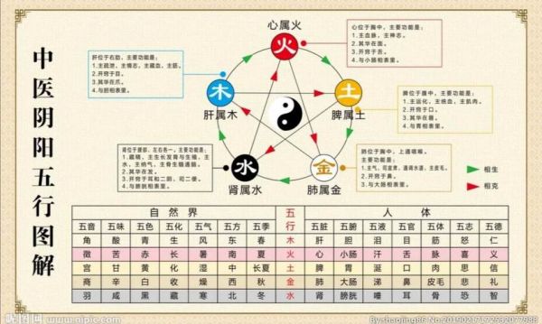 树的品种和阴阳五行?家具行业五行属什么-图3 树的品种和阴阳五行?家具行业五行属什么-图3