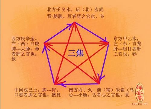 树的品种和阴阳五行?家具行业五行属什么-图2 树的品种和阴阳五行?家具行业五行属什么-图2