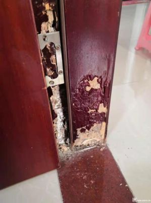 白蚁在家具里咬木头怎么彻底消除?白蚁蛀了的家具-图3 白蚁在家具里咬木头怎么彻底消除?白蚁蛀了的家具-图3